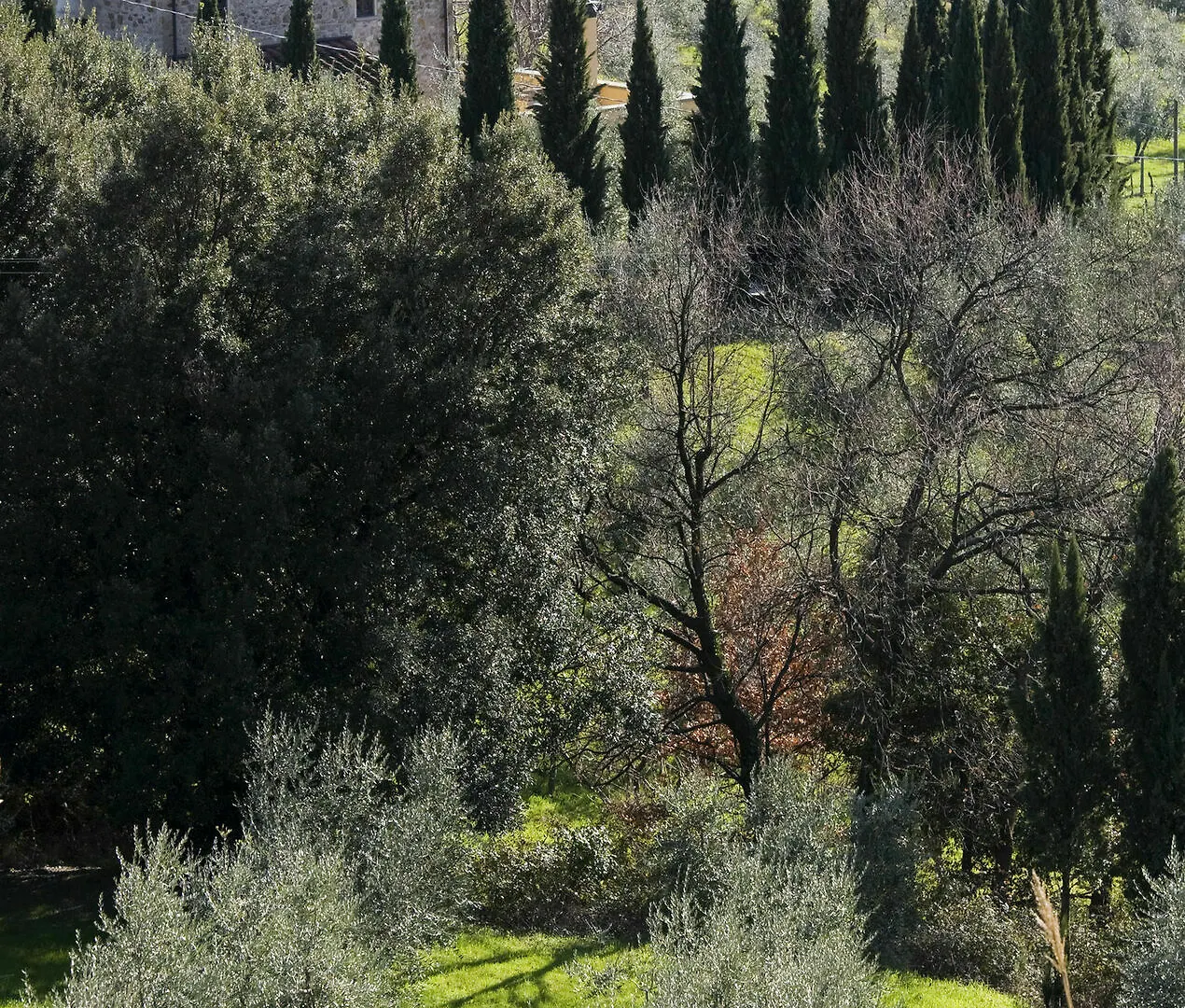 Villa Giorgia Albergo In Collina Pistoia 3*,  Italy